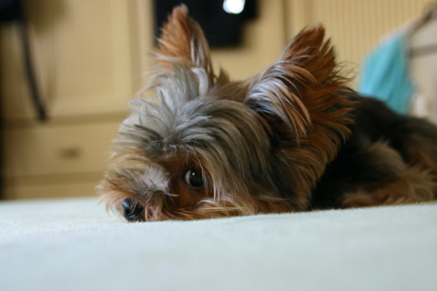 その目は・・・