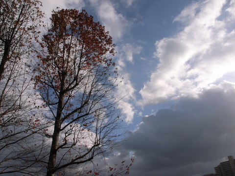 雲の間からの日差し
