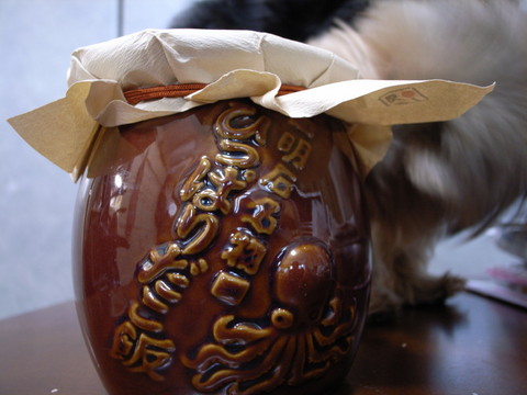 ひっぱり蛸の狙うキョロ