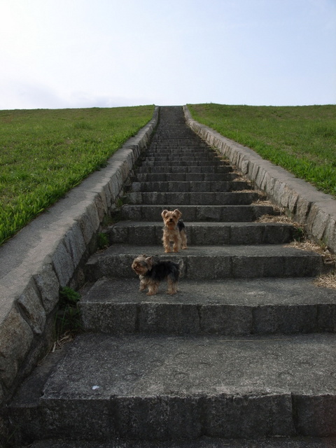 おら～おっさん付いてこいよ～