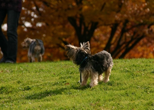 「みかん～どこいくん？」
