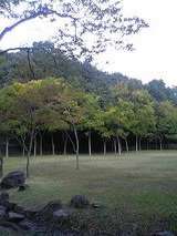だんだん秋ですね